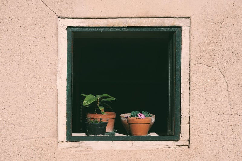 Decentralized Insights